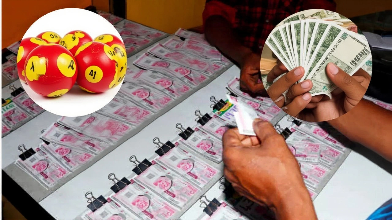 From 2019 to Now: A Festival That Grew